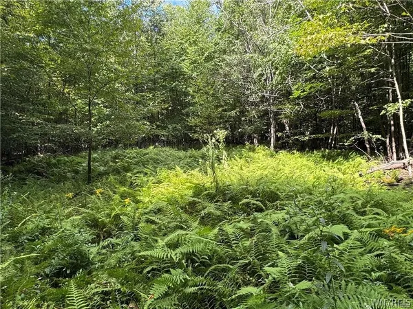 $190,000 | 5400 County Road 38, Alma, NY 14708