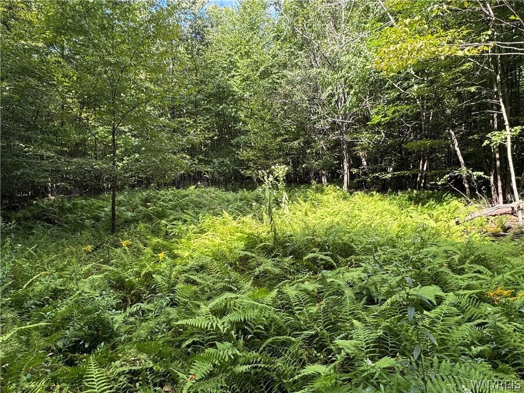 5400 County Road 38 Alma, NY 14708 - Photo 42 of 49