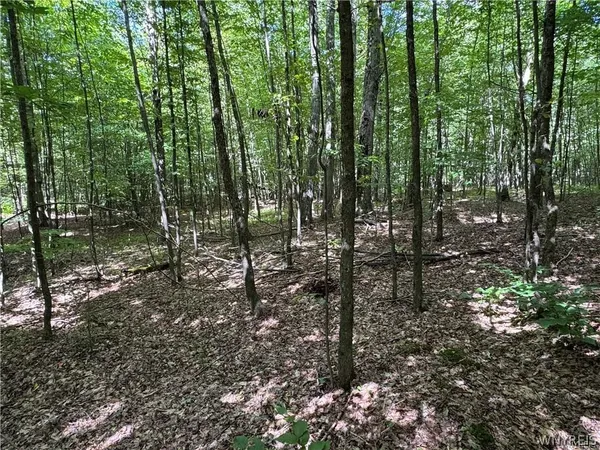 $190,000 | 5400 County Road 38, Alma, NY 14708