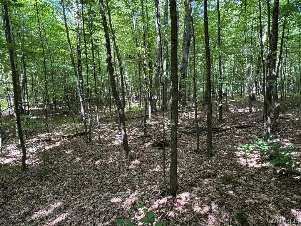 5400 County Road 38 Alma, NY 14708 - Photo 43 of 49