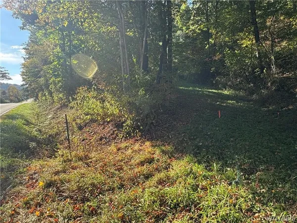 $190,000 | 5400 County Road 38, Alma, NY 14708