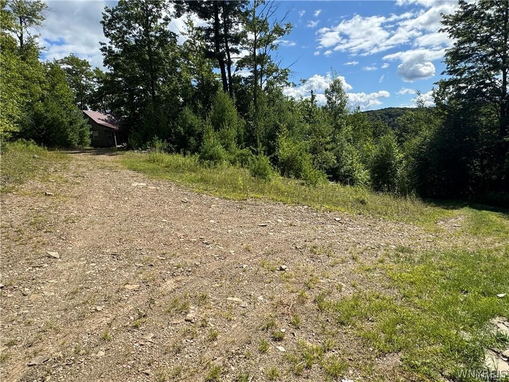 5400 County Road 38 Alma, NY 14708 - Photo 9 of 49