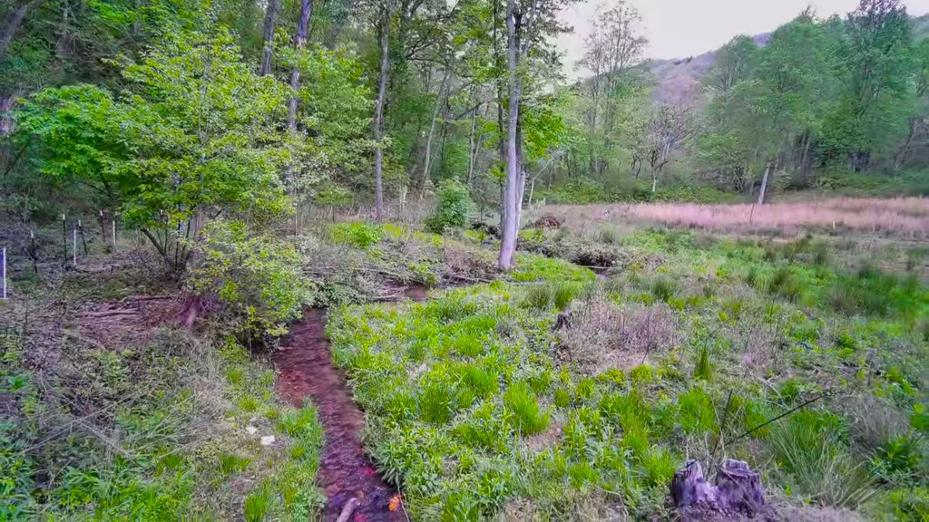 3325 Pack Mountain Road Murphy, NC 28906 - Photo 62 of 69