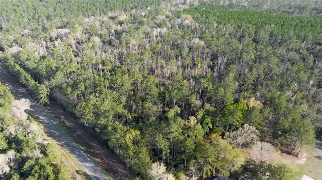 $204,000 | 0 Griffin Road, Deridder, LA 70634