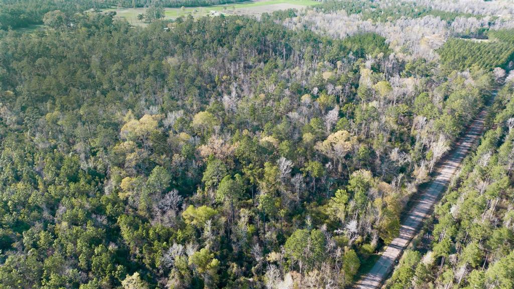 0 Griffin Road Deridder, LA 70634 - Photo 2 of 2
