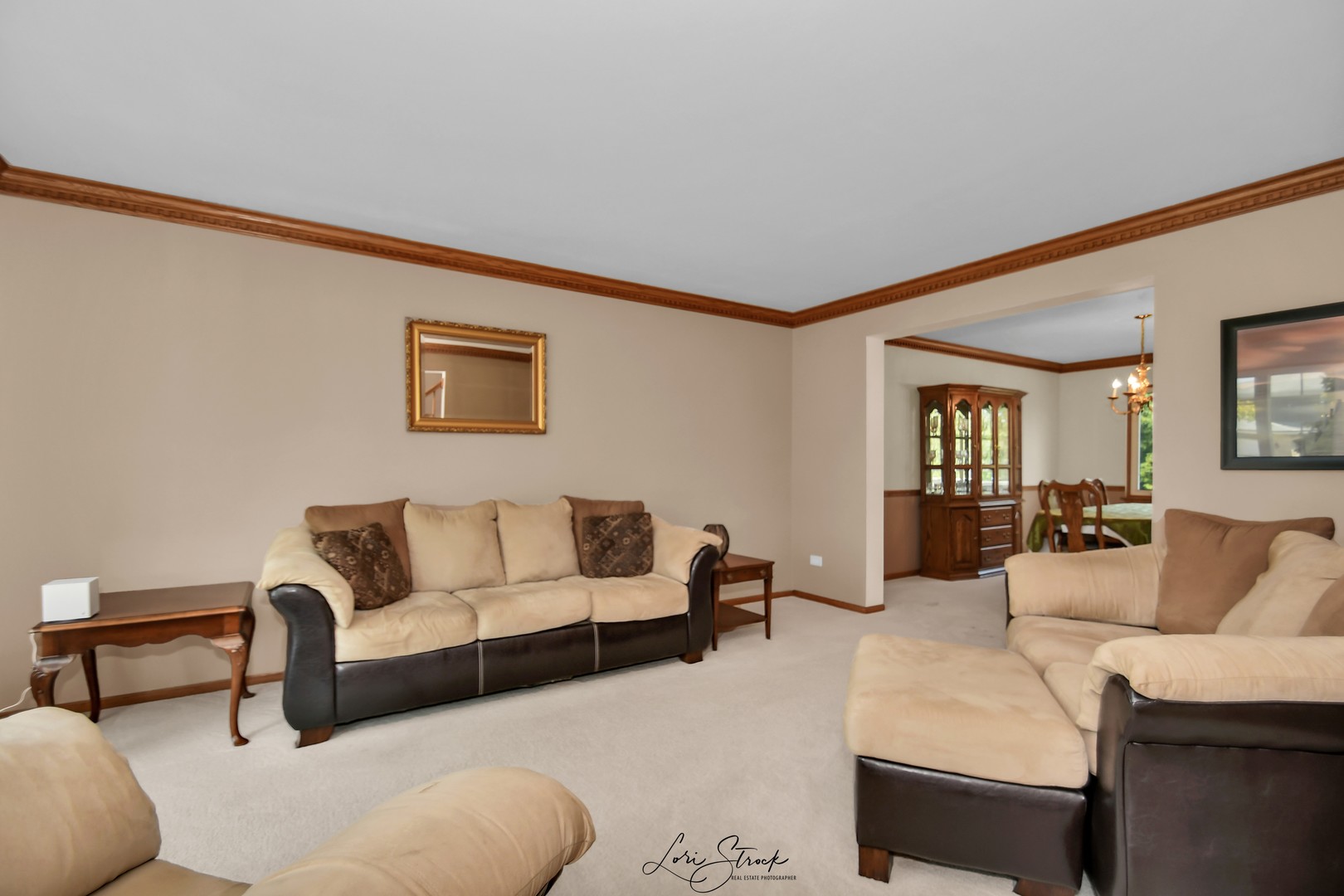 19407 Cherry Street Mokena, IL 60448 - Photo 11 of 33 a living room with furniture and a couch