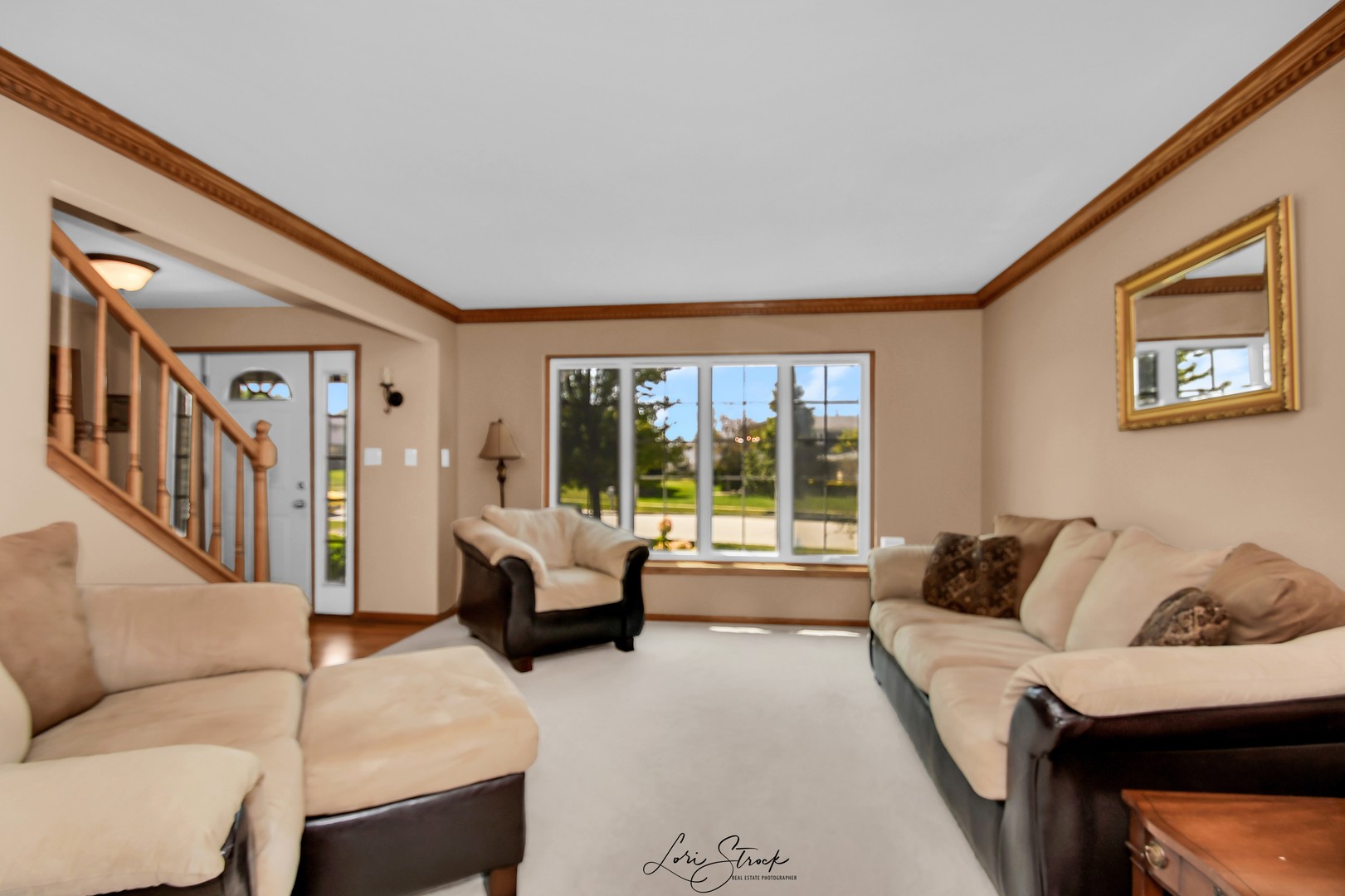 19407 Cherry Street Mokena, IL 60448 - Photo 12 of 33 a living room with furniture and a large window