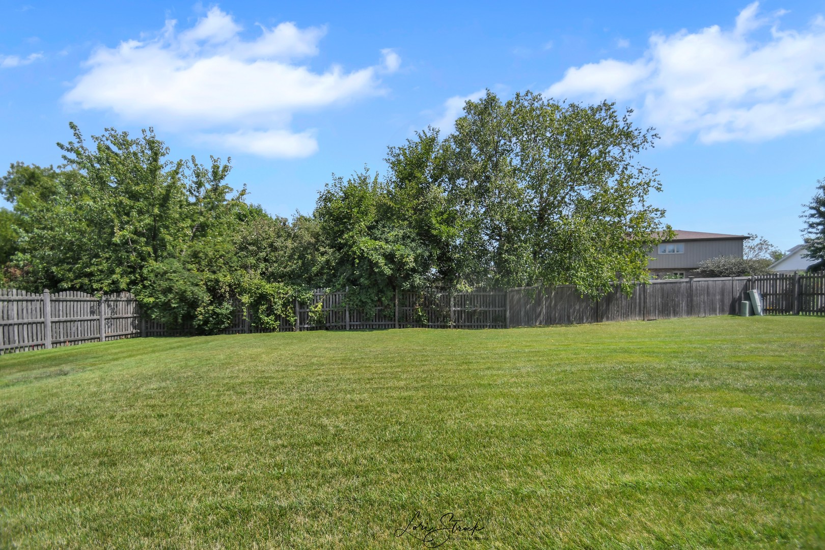 19407 Cherry Street Mokena, IL 60448 - Photo 3 of 33 a view of a grassy field with trees in the background