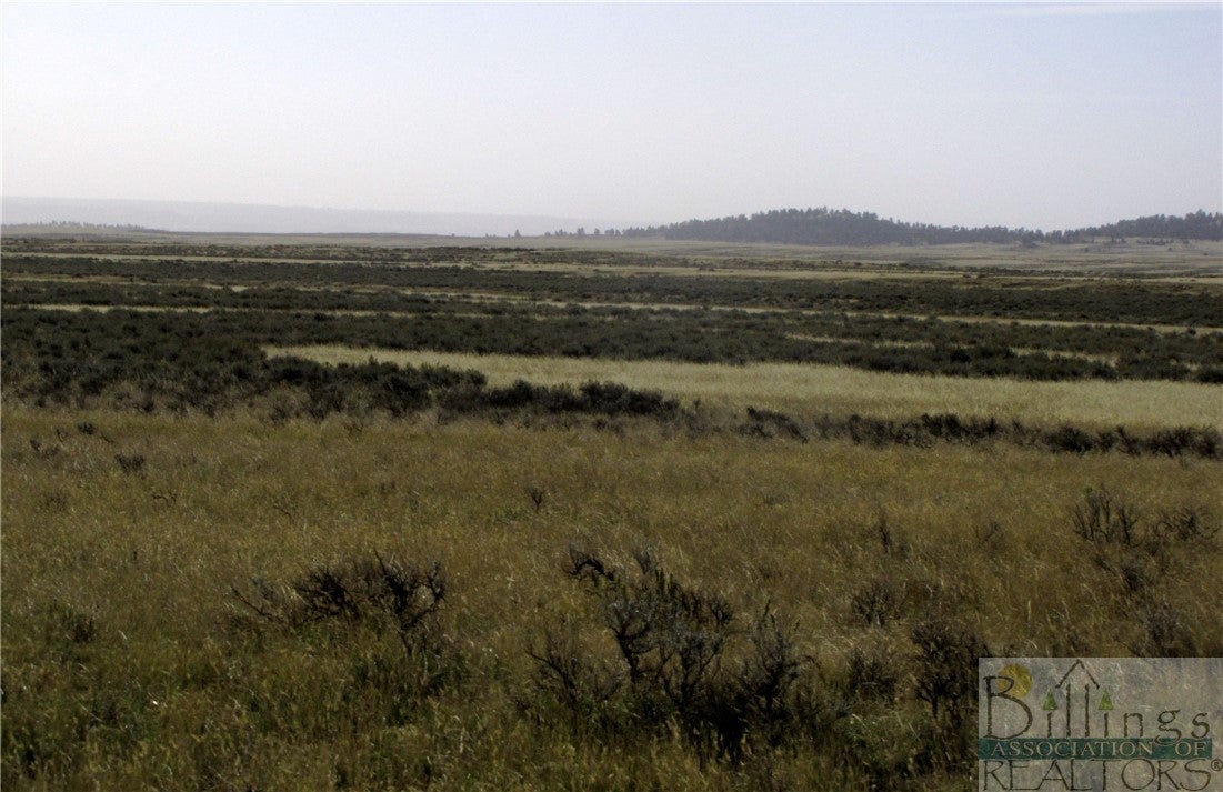 Nhn Lindstrom Road Shepherd, MT 59079 - Photo 30 of 36 Gallery Image 30