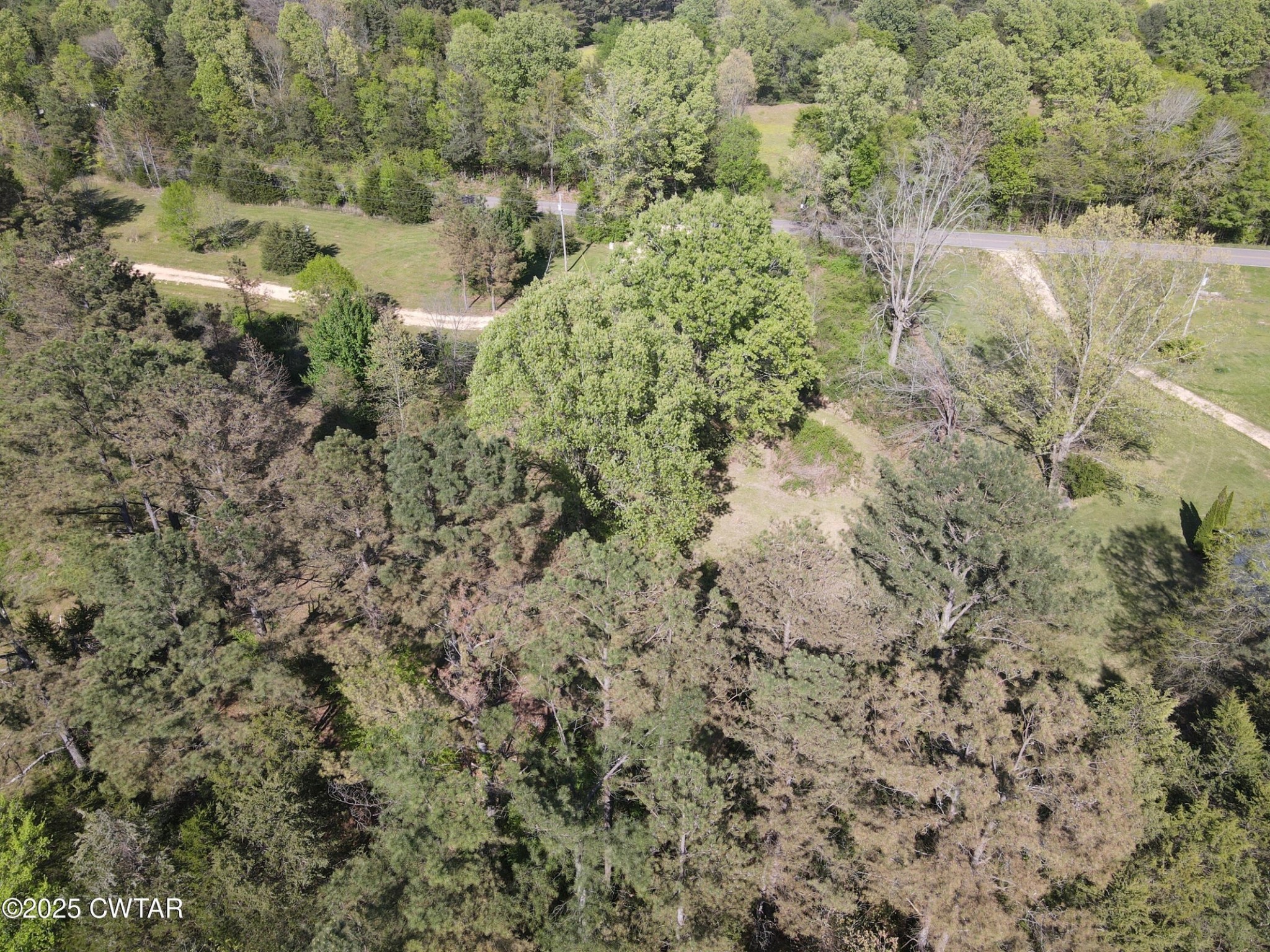 0 Mount Carmel Road Decaturville, TN 38329 - Photo 2 of 6 a view of a yard