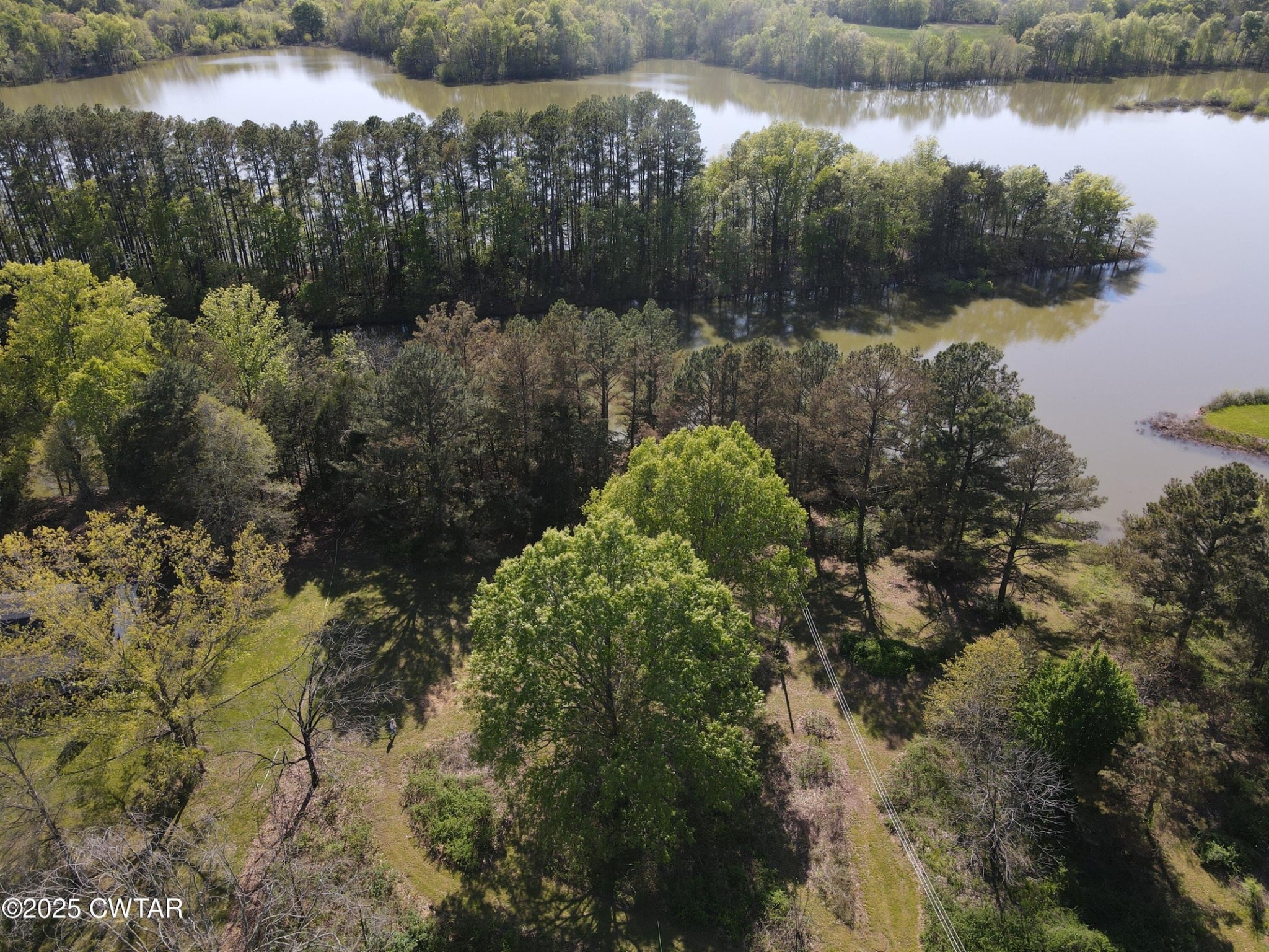 0 Mount Carmel Road Decaturville, TN 38329 - Photo 4 of 6 a view of lake