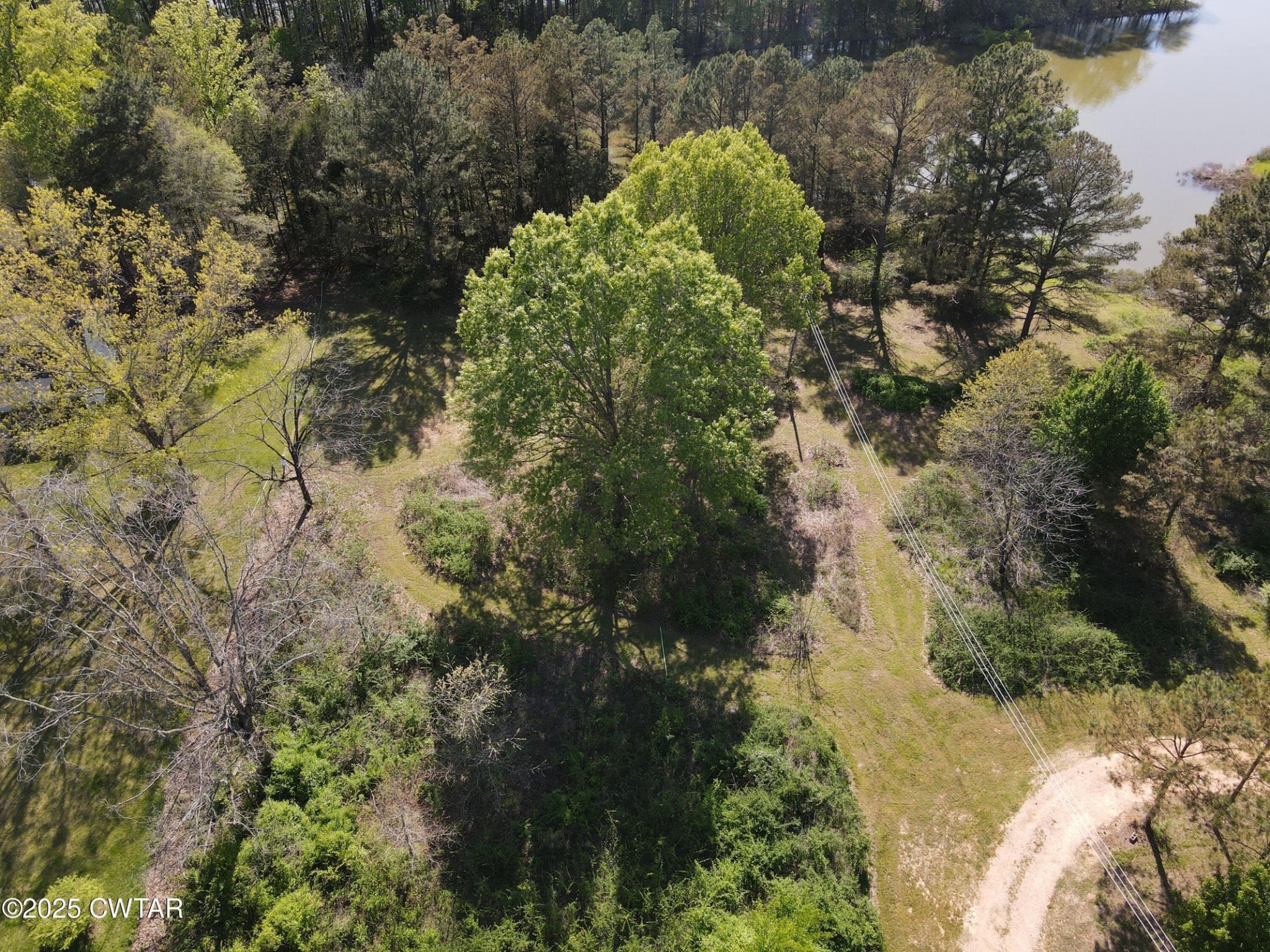0 Mount Carmel Road Decaturville, TN 38329 - Photo 5 of 6 a view of a garden with plants