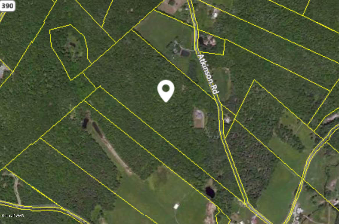 181 Atkinson Road Tafton, PA 18464 - Photo 1 of 1 Blumka - 48 acres