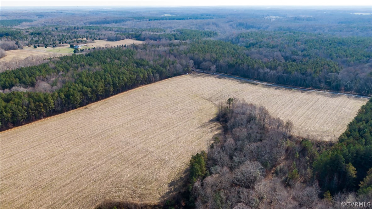 Lot 7 Clarke's Store Road Caret, VA 22436 - Photo 11 of 12 Gallery Image 11