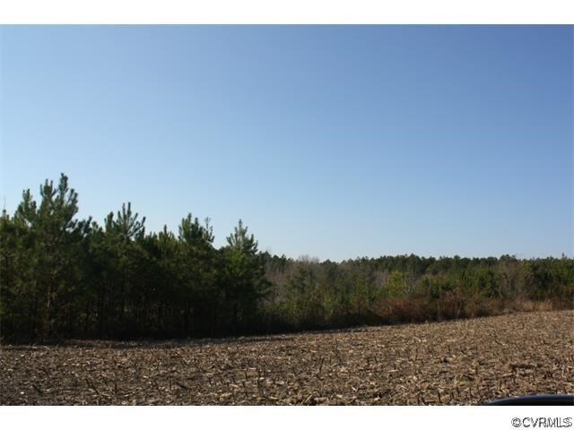 Lot 7 Clarke's Store Road Caret, VA 22436 - Photo 2 of 12 Gallery Image 2
