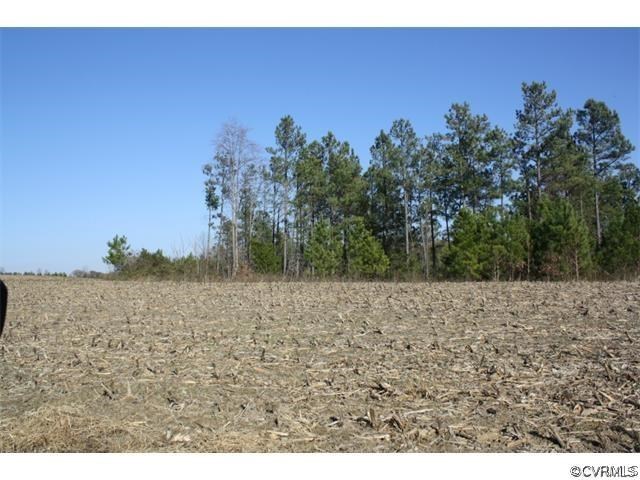 Lot 7 Clarke's Store Road Caret, VA 22436 - Photo 3 of 12 Gallery Image 3