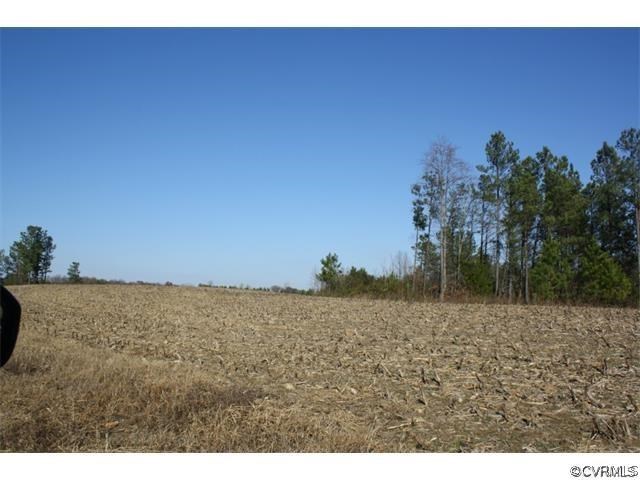 Lot 7 Clarke's Store Road Caret, VA 22436 - Photo 4 of 12 Gallery Image 4