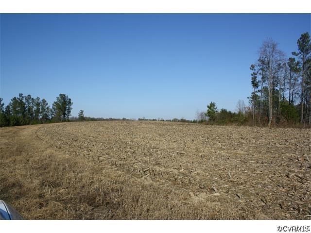 Lot 7 Clarke's Store Road Caret, VA 22436 - Photo 5 of 12 Gallery Image 5