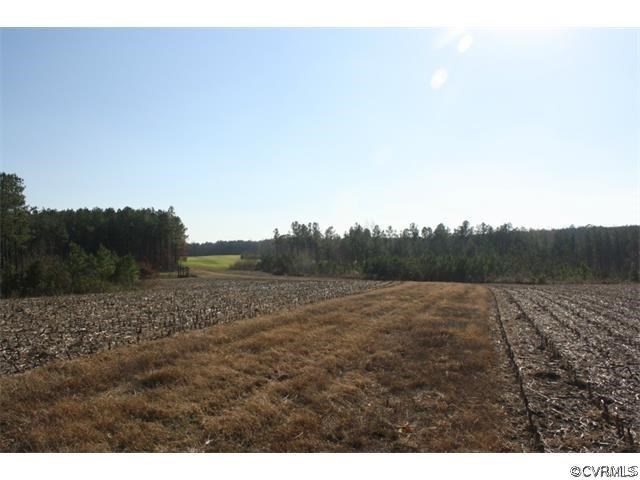 Lot 7 Clarke's Store Road Caret, VA 22436 - Photo 6 of 12 Gallery Image 6