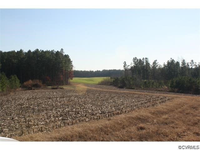 Lot 7 Clarke's Store Road Caret, VA 22436 - Photo 8 of 12 Gallery Image 8