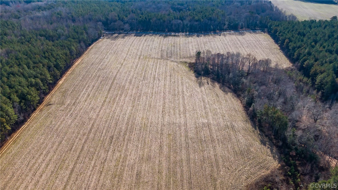 Lot 7 Clarke's Store Road Caret, VA 22436 - Photo 10 of 12 Gallery Image 10