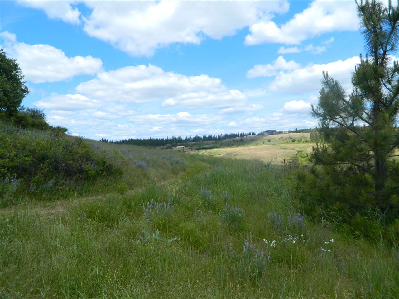 Xxx West Jacobs Road Spokane, WA 99224 - Photo 1 of 12