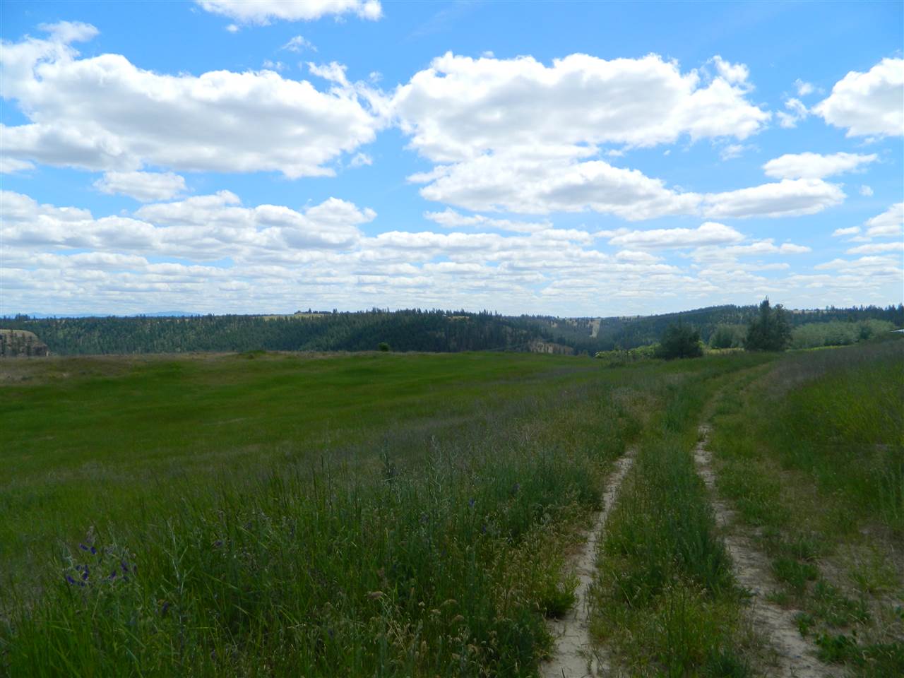 Xxx West Jacobs Road Spokane, WA 99224 - Photo 12 of 12