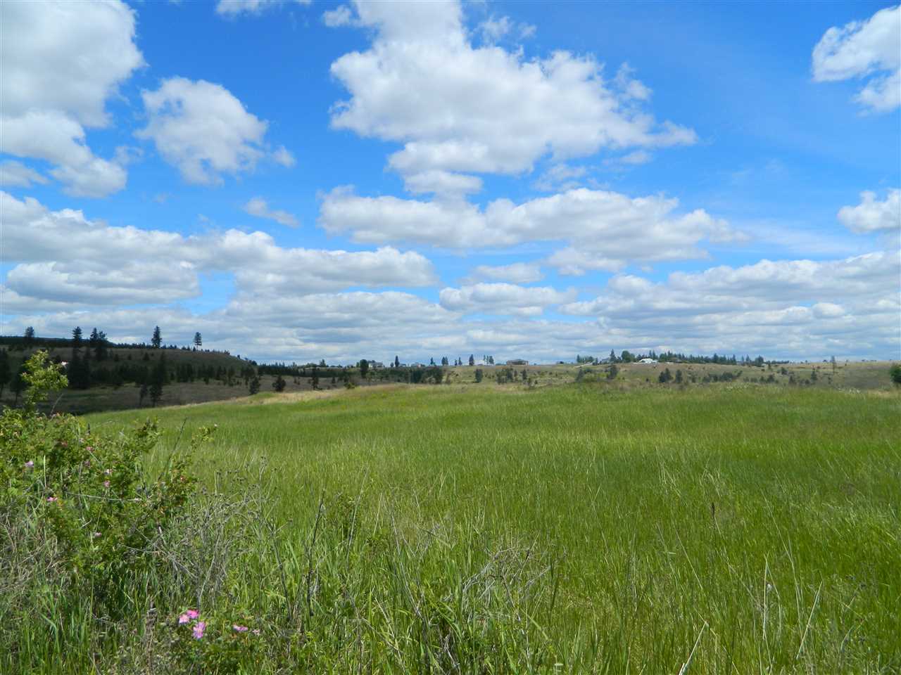 Xxx West Jacobs Road Spokane, WA 99224 - Photo 5 of 12