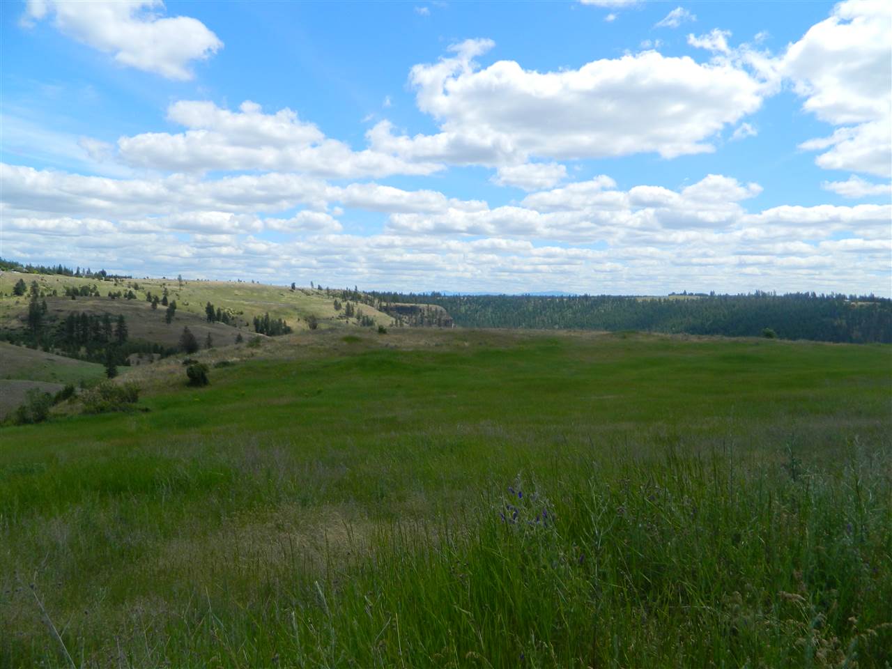 Xxx West Jacobs Road Spokane, WA 99224 - Photo 6 of 12