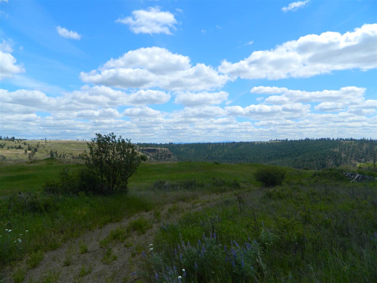 Xxx West Jacobs Road Spokane, WA 99224 - Photo 8 of 12