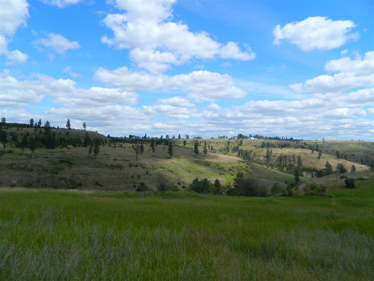 Xxx West Jacobs Road Spokane, WA 99224 - Photo 9 of 12