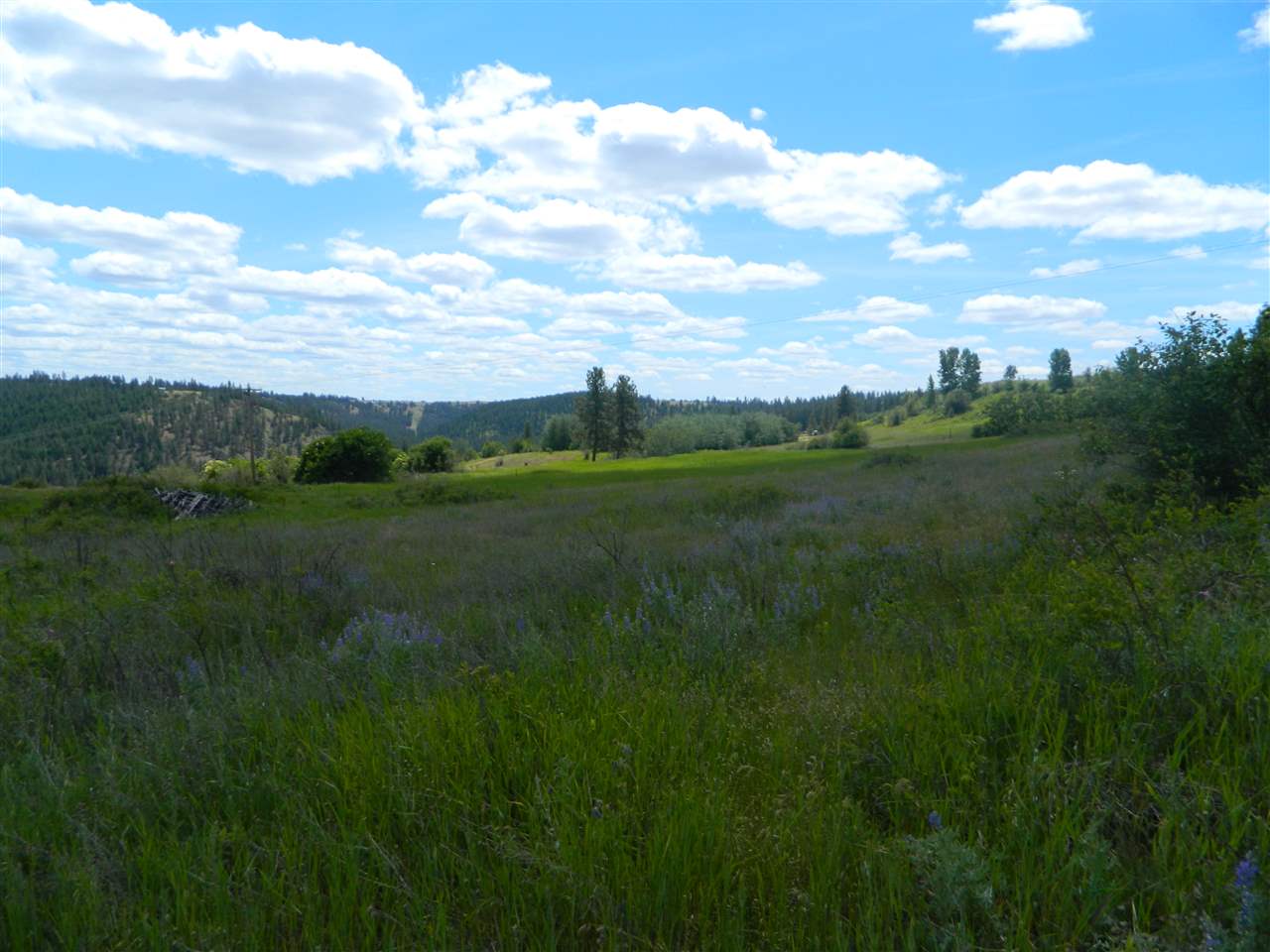 Xxx West Jacobs Road Spokane, WA 99224 - Photo 10 of 12