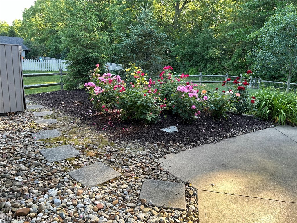 8763 Timber Edge Drive North Ridgeville, OH 44039 - Photo 37 of 40 View of yard