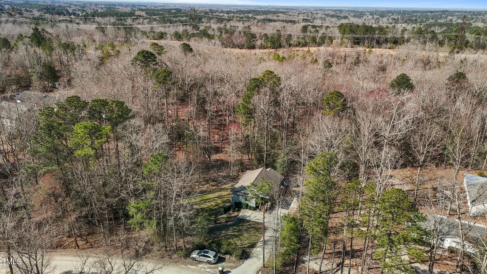 3741 Manly Farm Road Wake Forest, NC 27587 - Photo 46 of 49 tempImageGkxzsN