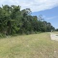0 Stuebner Airline Road Spring, TX 77379 - Photo 2 of 2 a view of a yard with a tree