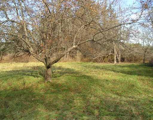 221 Beech Ridge Road York, ME 03909 - Photo 6 of 22 Land/Lot.