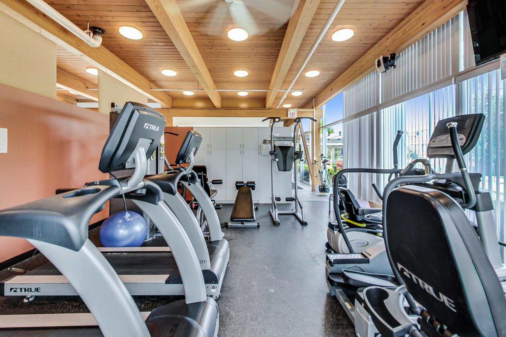 351 Kelburn Road, Unit 213 Deerfield, IL 60015 - Photo 32 of 37 a view of a room with gym equipment