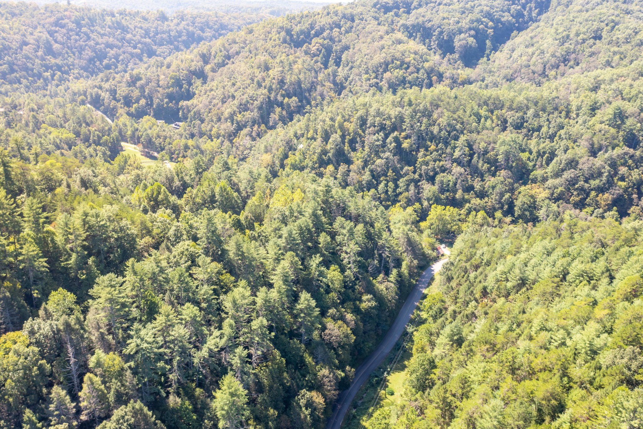 3902 Pearl Valley Road Sevierville, TN 37876 - Photo 10 of 14 a view of a yard