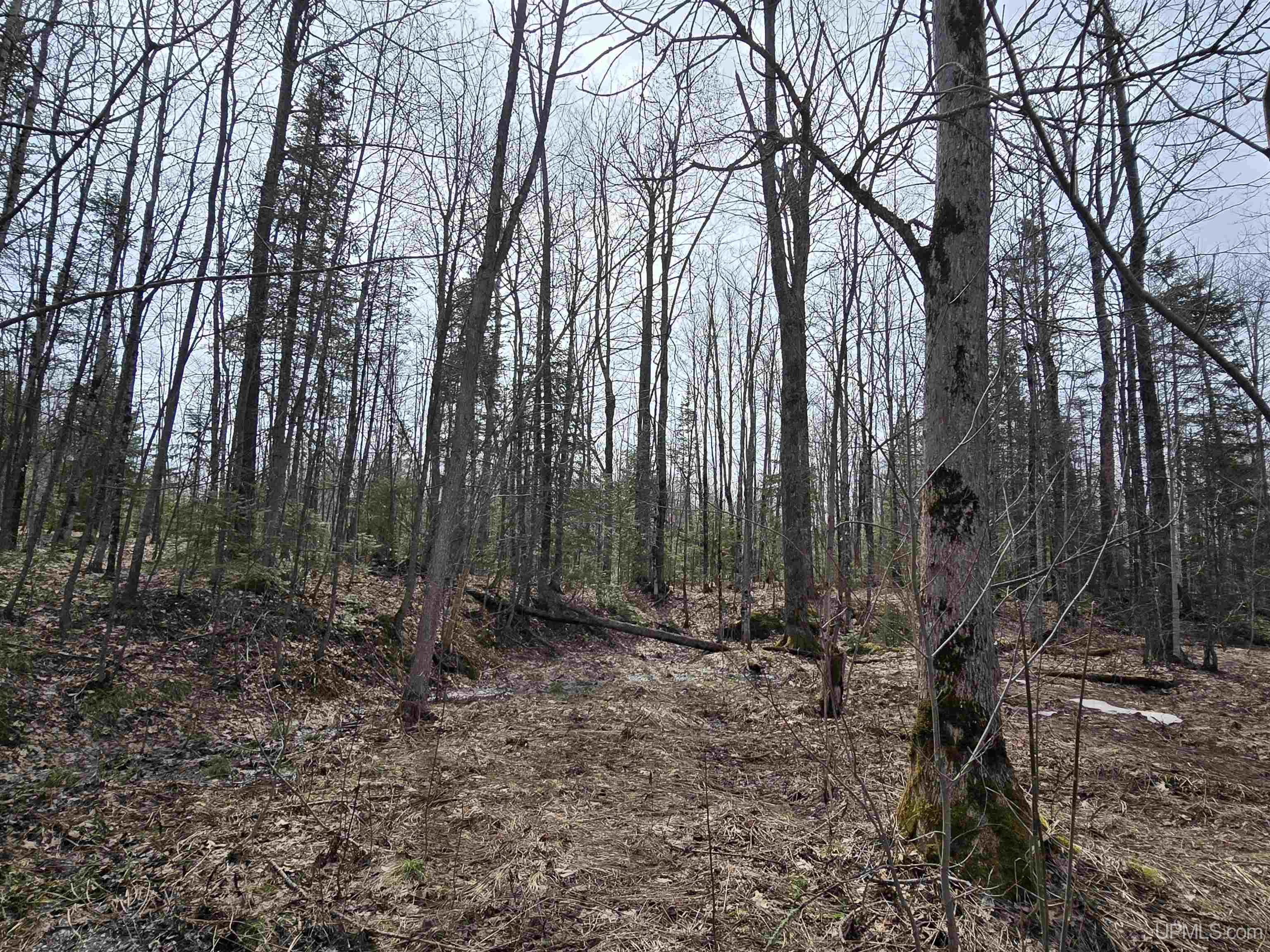Tbd Woodspur Road Ontonagon, MI 49953 - Photo 9 of 46
