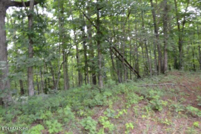 318 Rhodas Way Sunbright, TN 37872 - Photo 28 of 55 DSC_0059