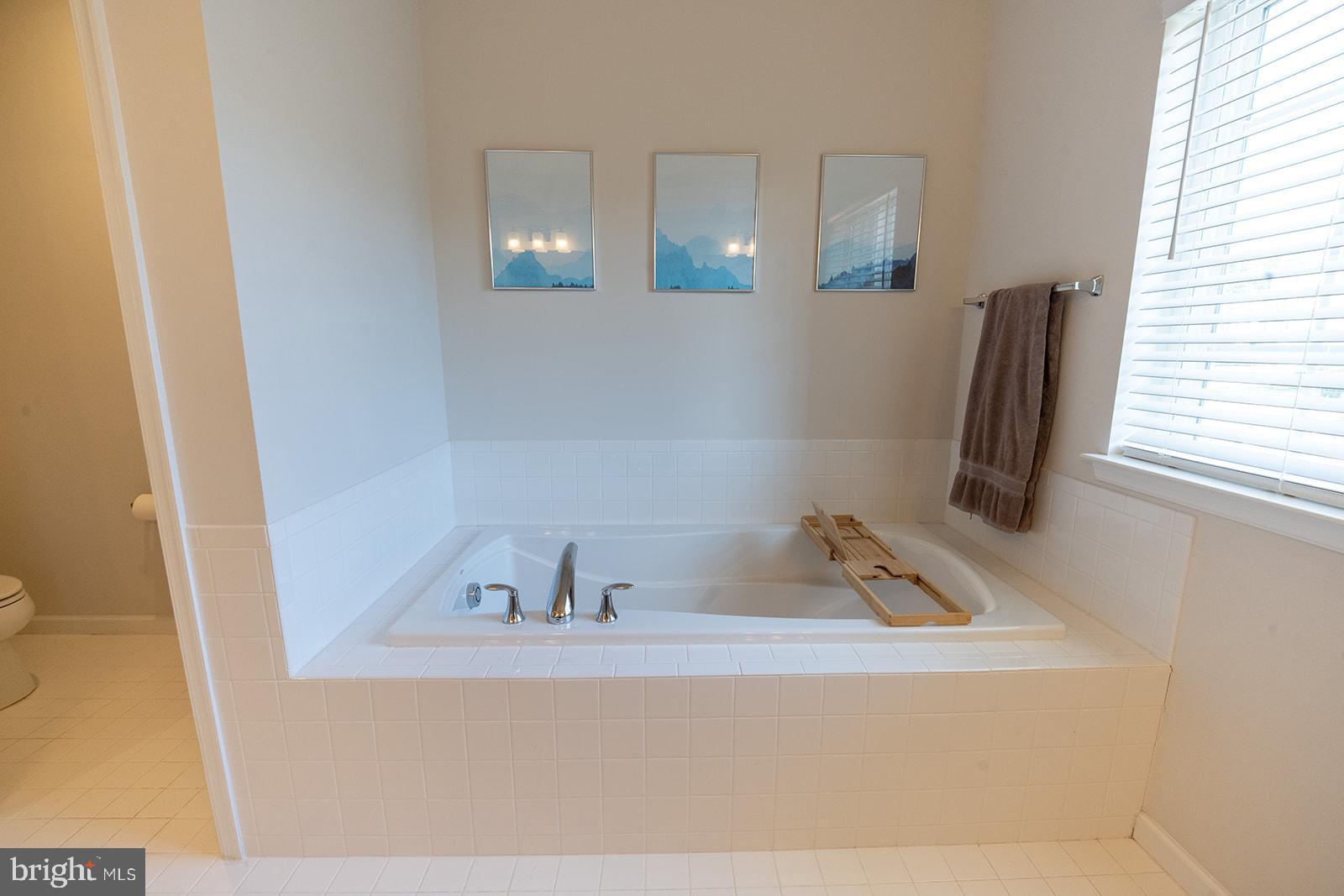 43907 Monterey Street California, MD 20619 - Photo 61 of 95 a bathroom with a sink and a window