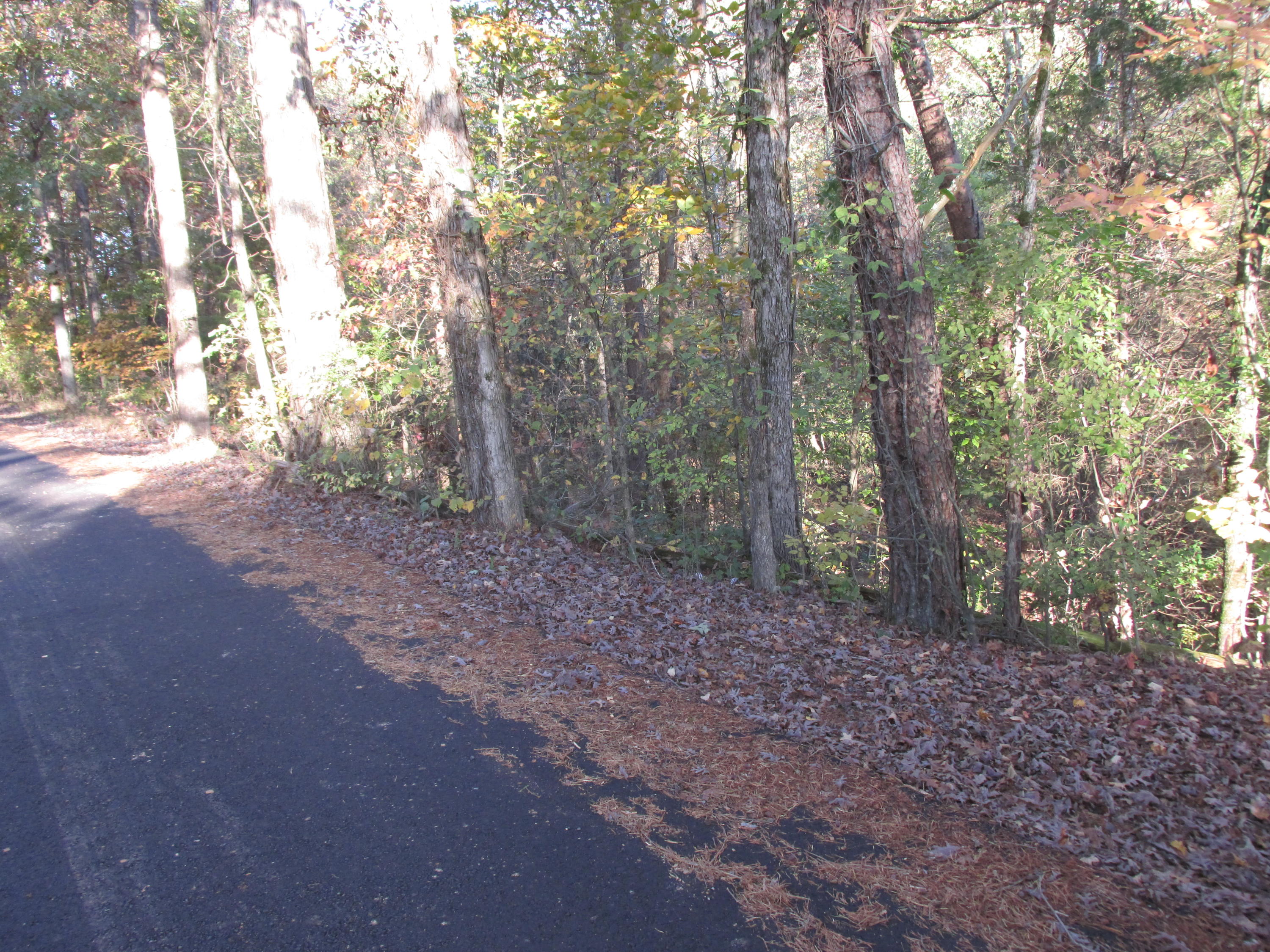 Fork Road Greenback, TN 37742 - Photo 1 of 12 Fork Road