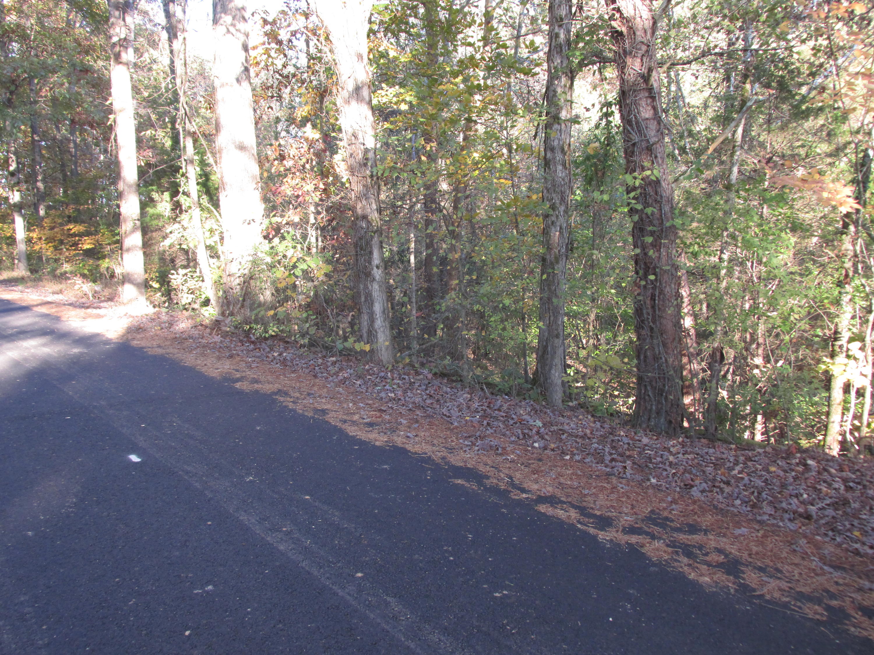 Fork Road Greenback, TN 37742 - Photo 3 of 12 Fork Road