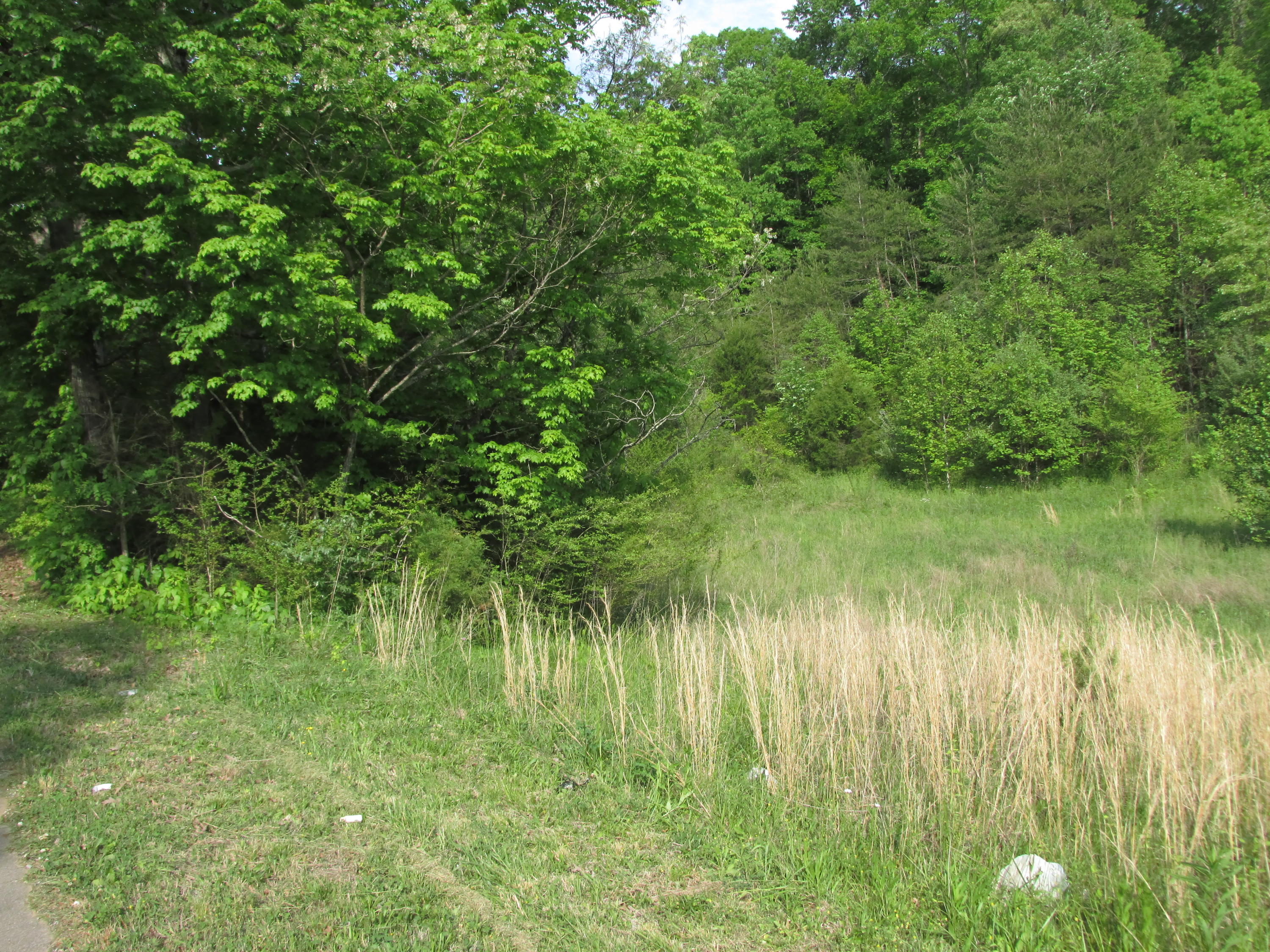 Fork Road Greenback, TN 37742 - Photo 5 of 12 IMG_2550