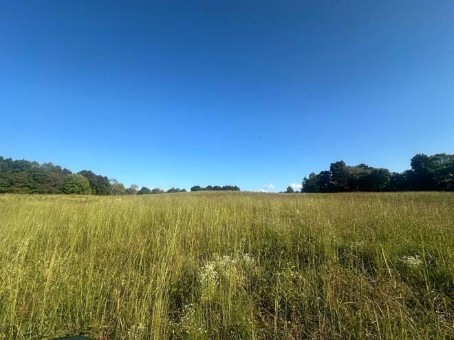 560 C C Riddle Road Burkesville, KY 42717 - Photo 20 of 32 20241217185159489426000000-o
