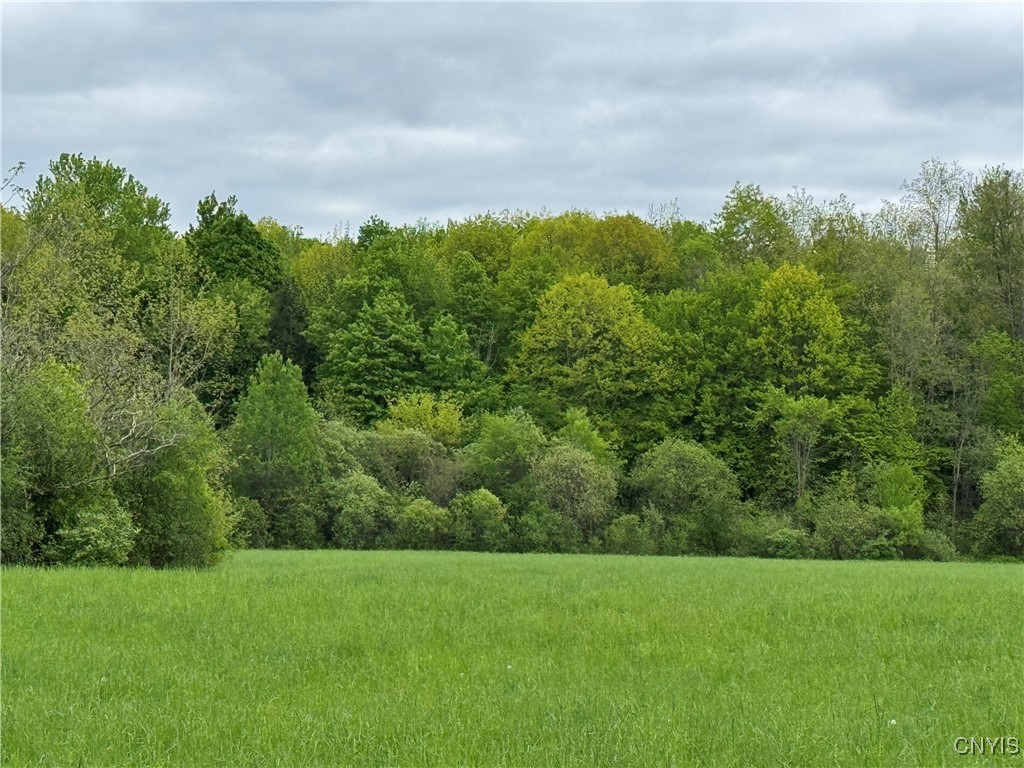Lemay Road Adams, NY 13605 - Photo 1 of 1 Gallery Image 1