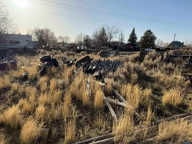 $110,000 | Unit D West Bridge Avenue, Saratoga, WY 82331