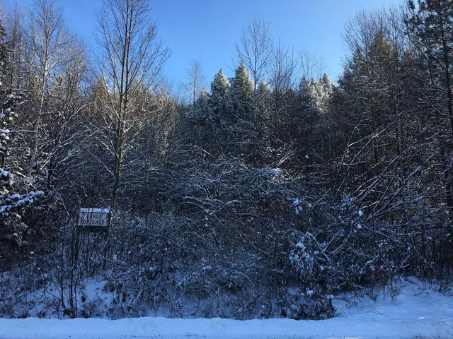 $30,000 | 0 Paine Turnpike South, Berlin, VT 05602