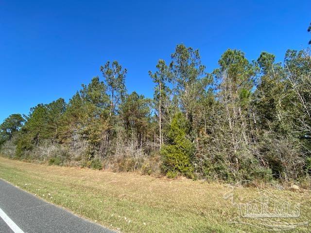 10305 Wiggins Grove Road Jay, FL 32565 - Photo 5 of 10