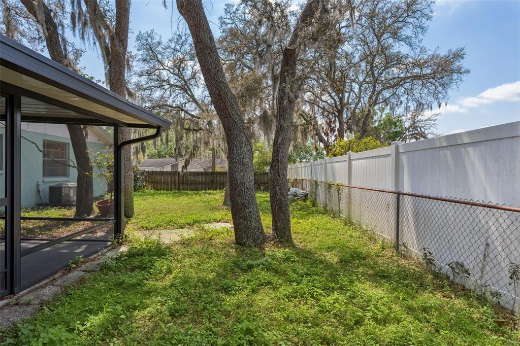 502 Avocado Circle Brandon, FL 33510 - Photo 41 of 50 a view of backyard with tree
